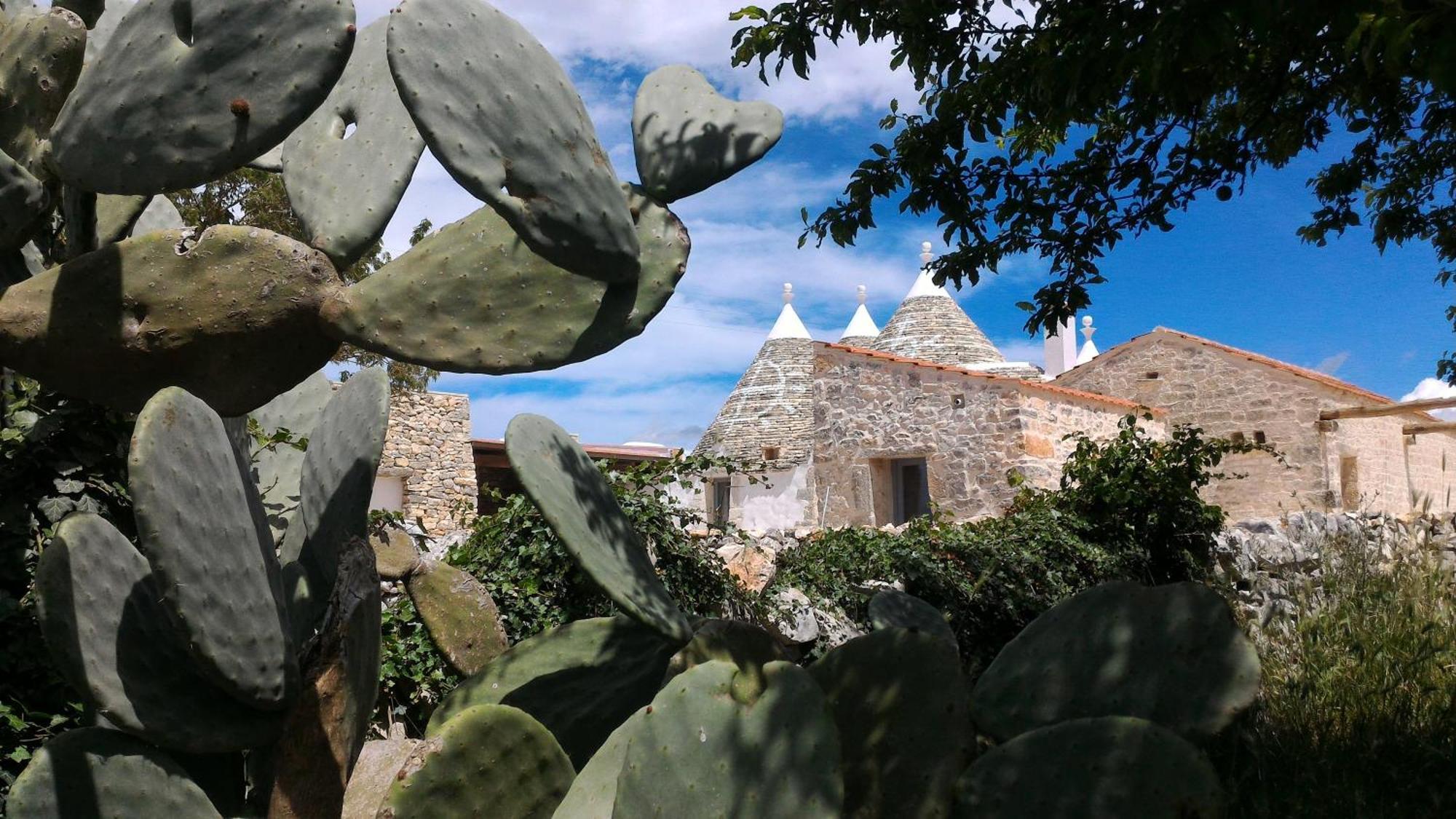 ノーチ Trulli Don Diego Bed & Breakfast エクステリア 写真